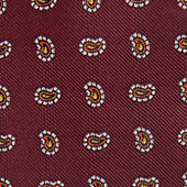 Small Paisley Motif Woven Silk Tie