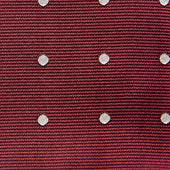 White Spot Silk Tie