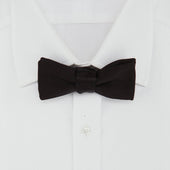 Batwing Satin Bow Tie