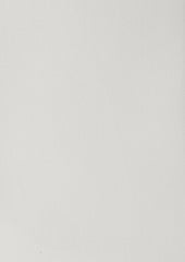 Chemise Habill E Regular En Twill De Coton Uni Cru