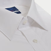 Contemporary Fit Plain Sea Island Quality Cotton Shirt With Classic Collar Two Button Cuff