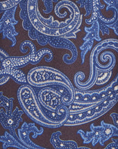 Tie Stampata Disegno Cashmere