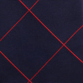Red And Navy Window Pane Silk Tie