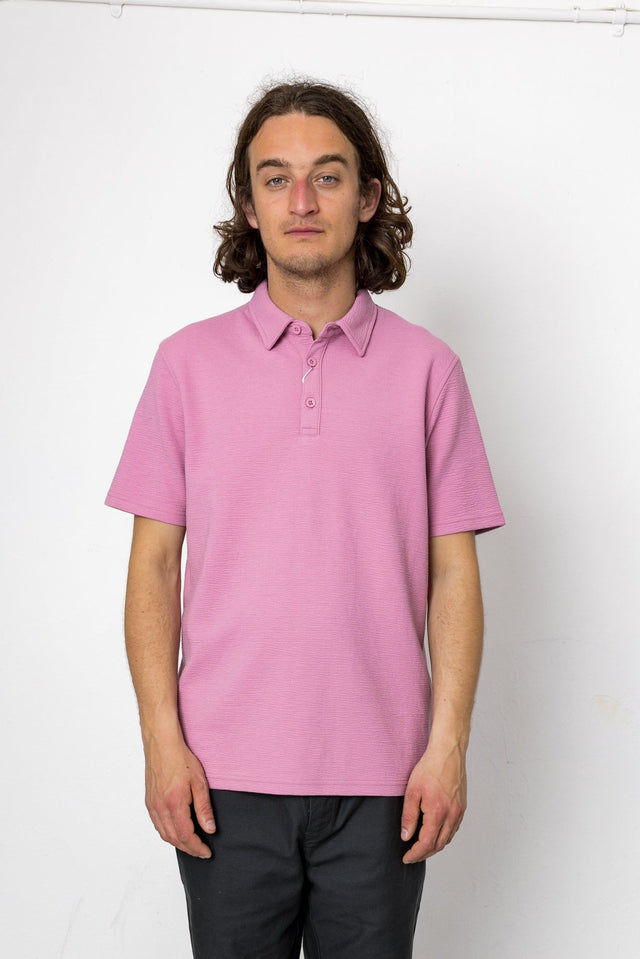 Delta Polo - Raspberry Mousse
