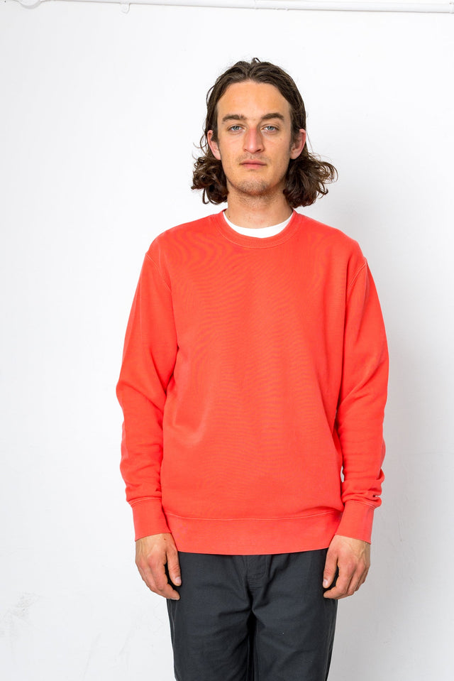Jack Jacquard Crew - Raspberry