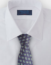 Green Floating Paisley Silk Tie
