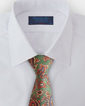 Green Paisley Motif Printed Silk Tie