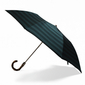 Green Stripe Telescoping Umbrella
