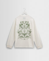 Hayden - White And Green Botanical Graphic Cotton T-Shirt