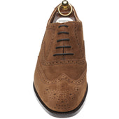 Herring Trent mens brogues in snuff suede