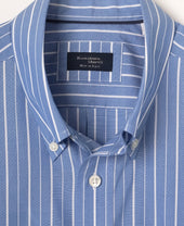 Casual Broadcloth Button-Down Stripe