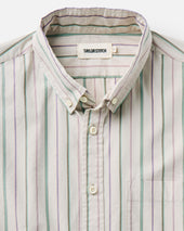 The Jack in Algiers Stripe