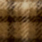 The Fireside Scarf In Butterscotch Plaid