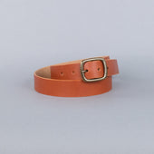 Standard Belt