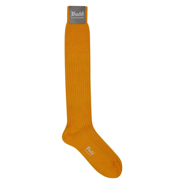 Cashmere and Silk Long Socks in Yellow