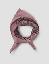 Paisley Bandana Silk Twill Mineral Pink