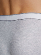 Men S Boxer Briefs Ethan Micro Modal Stretch Marl