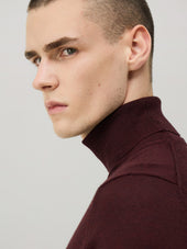 Pull Col Roul En Laine M Rinos M Lang E Bordeaux