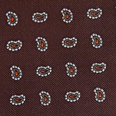 Oak Brown Small Paisley Motif Woven Silk Tie