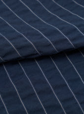 Chester Stripe Oxford Pant