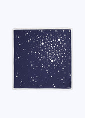 Pochette En Twill De Soie