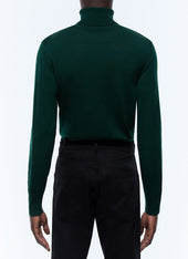 Sweater Fin Col Roul En Laine M Rinos