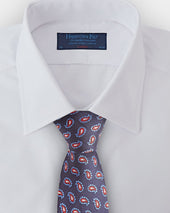 Red Floating Paisley Silk Tie