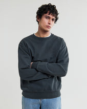 Sidney Washed Embroidered Loopback Cotton Sweatshirt