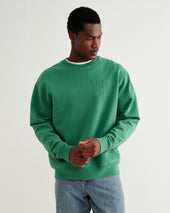 Sidney Washed Green Embroidered Loopback Cotton Sweatshirt