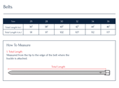 Elastic Belt