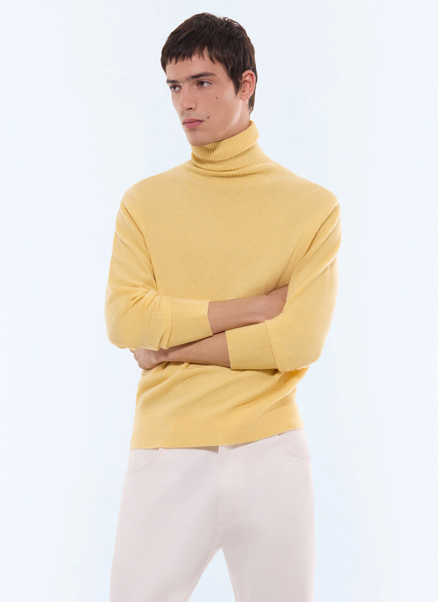 Wool and cashmere roll neck sweater