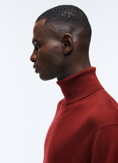 Merino Wool Roll Neck Sweater