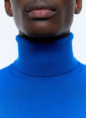 Merino Wool Roll Neck Thin Sweater