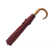 Telescopic Umbrella In