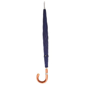 Umbrella With Chestnut Crook