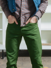 Ivy Duck Canvas - Pine Green