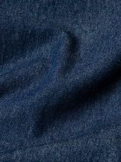 Raeburn Button Down Shirt in Denim