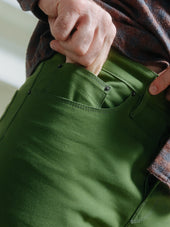Ivy Duck Canvas - Pine Green