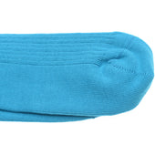 Wildsmith Wildsmith Socks in blue