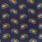 Floating Paisley Silk Tie