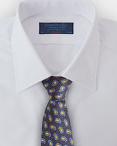 Floating Paisley Silk Tie